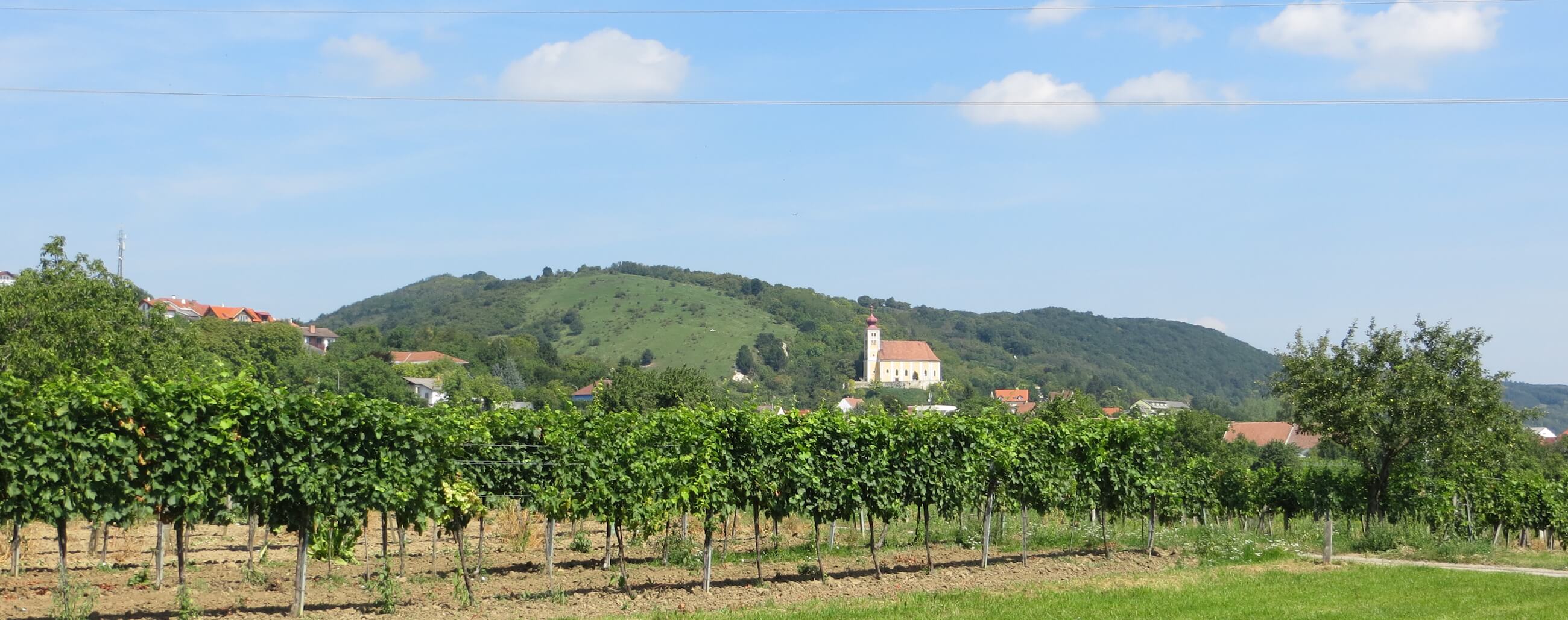 weidinger weingarten